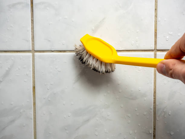 Attic Mold Removal in Mclean, TX