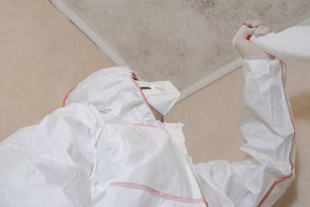 Best Home Mold Removal  in Mclean, TX