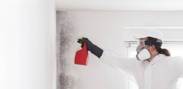 Best Water Damage Restoration  in Mclean, TX