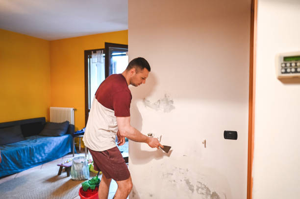 Best Mold Testing  in Mclean, TX